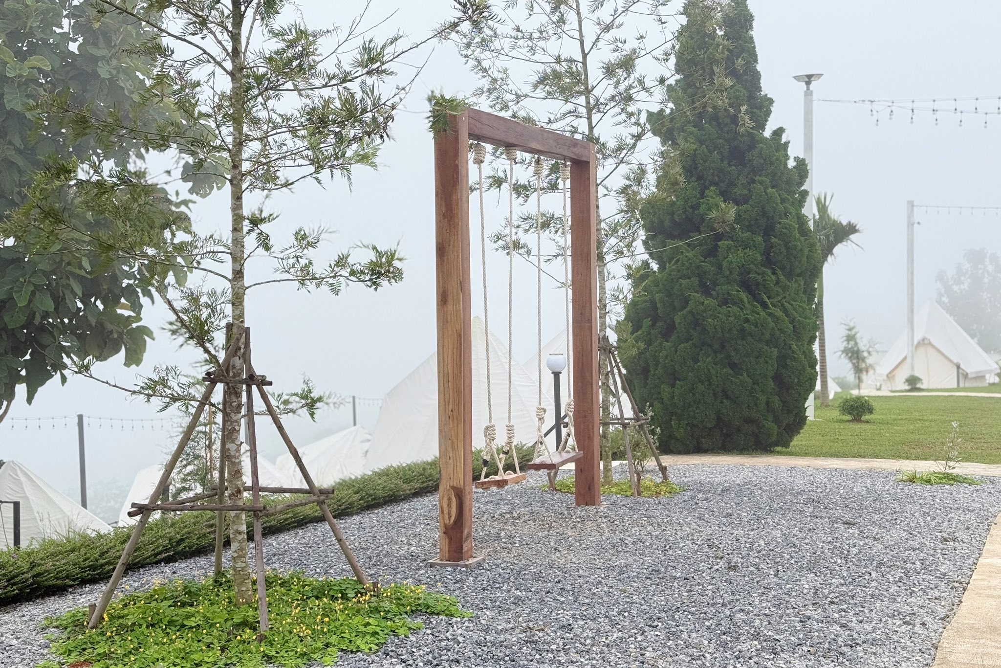 537561042_1095980765971848_2509783838226599222_n