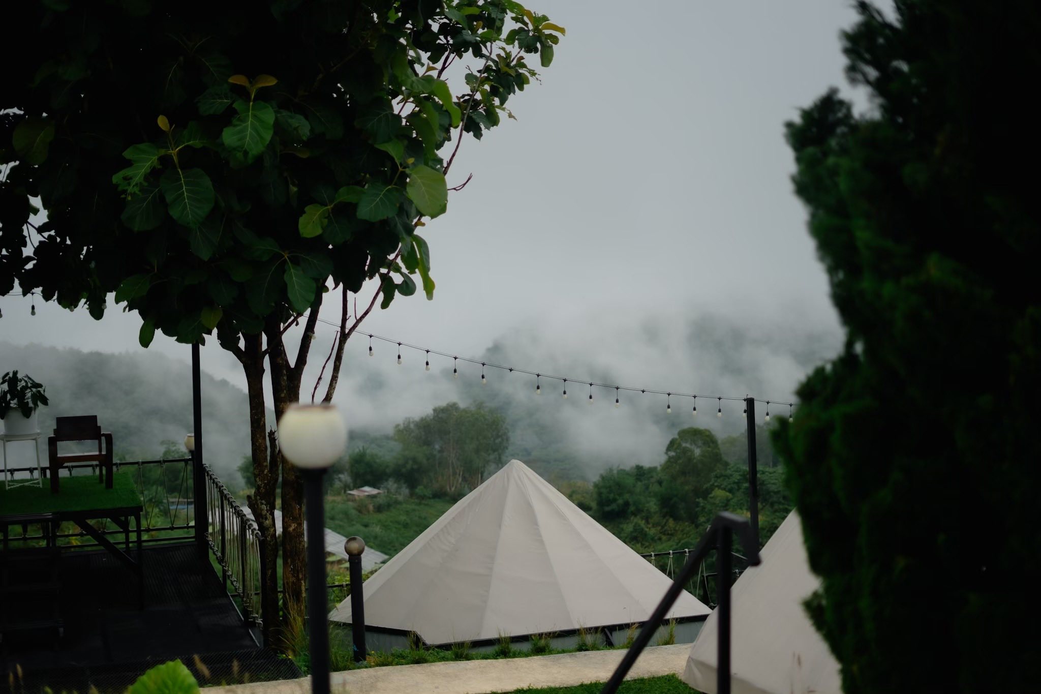 541272062_1103747018528556_7163331601610867194_n