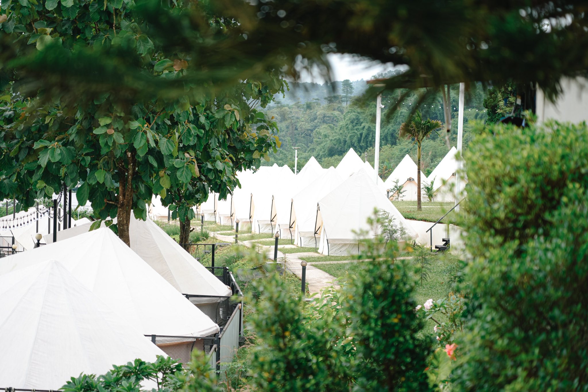 544742641_1107588938144364_2352790467549614937_n