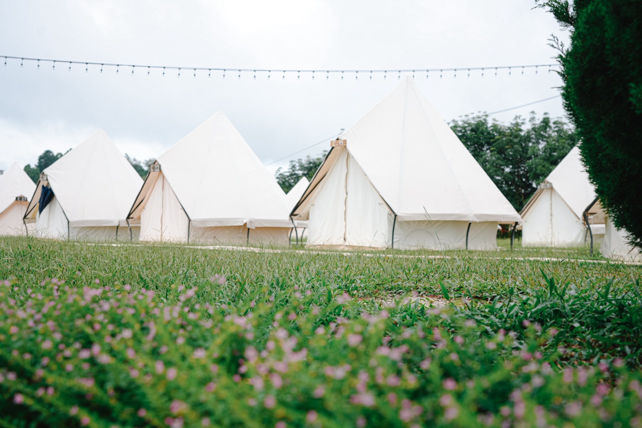 544856051_1107588981477693_1134811516006463384_n